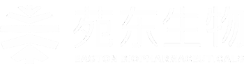 5001拉斯维加斯